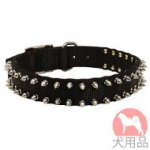 2連スパイク付ナイロン首輪