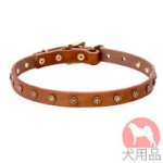 星型スタッズ付き小型犬用首輪(20mm、黄銅)