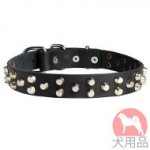 ピラミッド付中型犬　首輪(2+1,ニッケル)