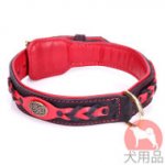 大型犬用首輪　赤色