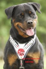 ロットワイラー用和風革ハーネス