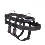 【災害救助犬　ハーネス】レスキュードッグ　胴輪