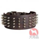 幅広首輪(70mm、スパイク)　大型犬　首輪　革製