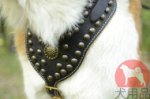 大型犬用ハーネス　高級本革