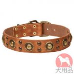 コンチョ付き犬　首輪(青銅,40mm)