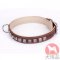 大型犬用首輪　ユニークなデザイン