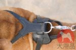 犬のハーネス│ボルドー・マスティフ用攻撃ハーネス