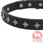 スターズ　首輪(星風、ニッケル)