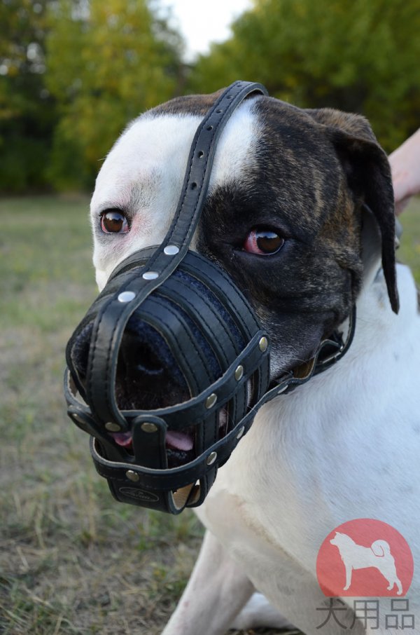 【超大型犬　口輪】ジャイアントシュナウザー用本革製口輪