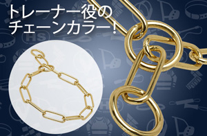 クロガンのチェーンカラー