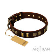 FDT Artisan 'Golden Elegance' 犬 ナチュラルレザー 首輪 茶色 FDT Artisan 'Golden Elegance' 犬 ナチュラルレザー 首輪 茶色