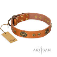 FDT Artisan Dandy Pet 犬用ナチュラルレザーカラー FDT Artisan Dandy Pet 犬用ナチュラルレザーカラー