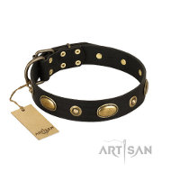 FDT Artisan ‘Eye-Catcher’ 犬 首輪 ブランド FDT Artisan ‘Eye-Catcher’ 犬 首輪 ブランド