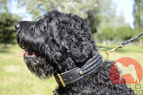 大型犬　首輪　丈夫