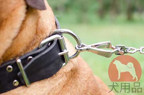 大型犬　首輪