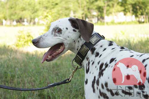 大型犬　首輪　革