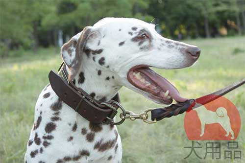 大型犬　首輪　かっこいい