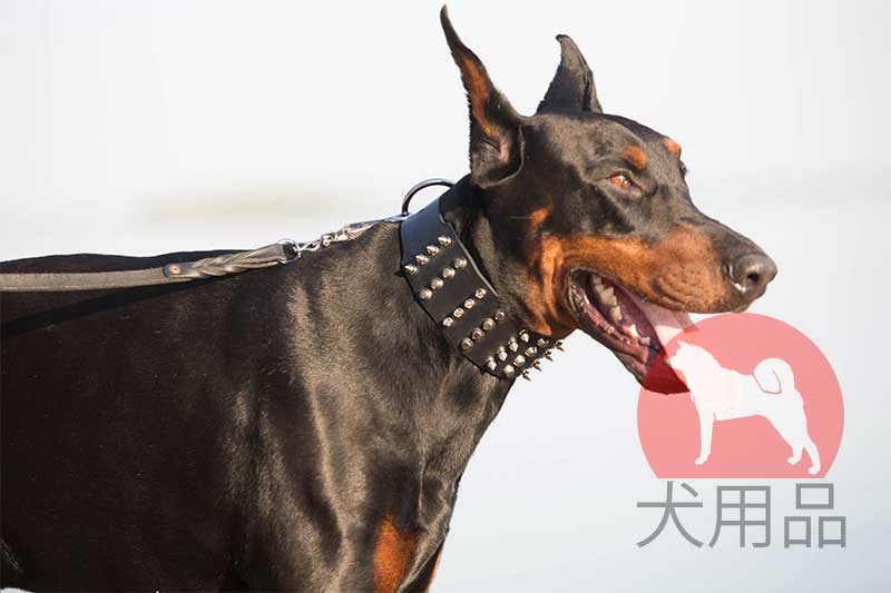 ドーベルマン用幅が広い首輪 S90 1113 Dog Collar 犬用品 犬グッズ 犬訓練用具 犬用品通販 犬用口輪