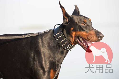 大型犬　首輪　革