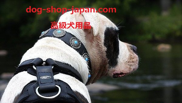 犬 ハーネスvs犬 首輪ーどっち 犬用品 犬グッズ 犬訓練用具 犬用品通販 犬用口輪