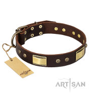 FDT Artisan 'Rich Fashion'大型犬 首輪 輸入 FDT Artisan 'Rich Fashion'大型犬 首輪 輸入