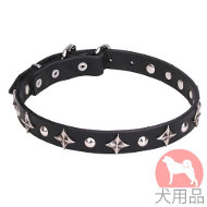 犬用首輪 スタッズ 星柄 25mm 犬用首輪 スタッズ 星柄 25mm