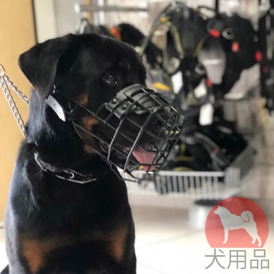 大型犬　口輪