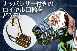 犬用口輪