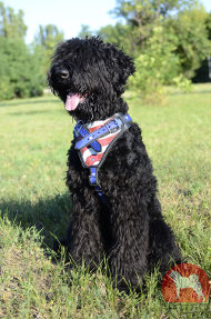 大型犬用アメリカンプライド柄ハーネス 大型犬用アメリカンプライド柄ハーネス