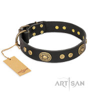 FDT Artisan Golden Radiance 犬散歩用首輪 FDT Artisan Golden Radiance 犬散歩用首輪