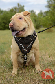 シャーペイ用有刺鉄線柄付き本革ハーネス