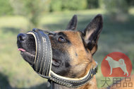 大型犬 無駄吠えマスク 大型犬 無駄吠えマスク