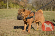 大型犬用ハーネス　シャー・ペイ