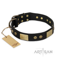 FDT Artisan Spanish night オリジナルスタイルの革細工首輪 FDT Artisan Spanish night オリジナルスタイルの革細工首輪