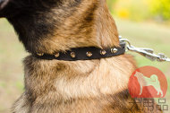 大型犬向けの首輪 スパイク付 大型犬向けの首輪 スパイク付