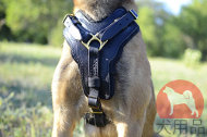 大型犬 ハーネス 革 大型犬 ハーネス 革