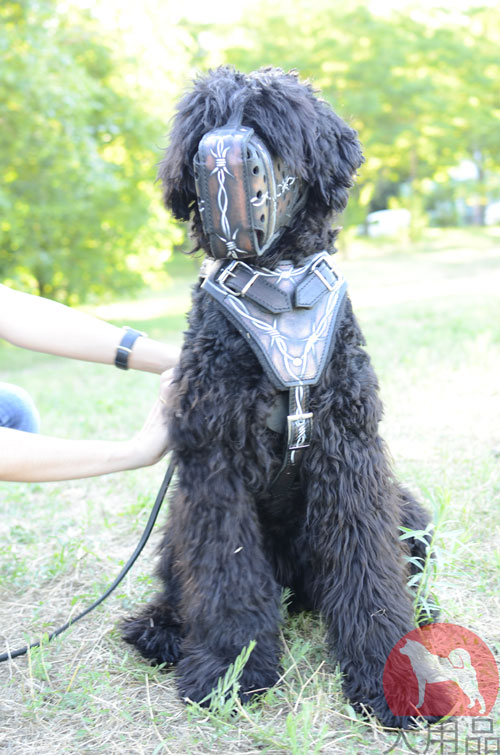 犬用ハーネス　かっこいい