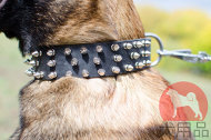 大型犬のマリノア向けのかっこいい首輪 大型犬のマリノア向けのかっこいい首輪