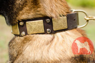 大型犬向けのオリジナル金具付き首輪 大型犬向けのオリジナル金具付き首輪