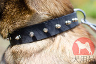 マリノア向けのスパイク付首輪(30mm) マリノア向けのスパイク付首輪(30mm)