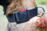 大型犬 首輪 ワンタッチバックル 大型犬 首輪 ワンタッチバックル