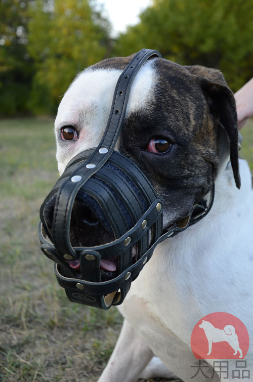 【超大型犬　口輪】ジャイアントシュナウザー用本革製口輪