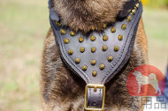 大型犬用ハーネス かっこいいスパイク付 大型犬用ハーネス かっこいいスパイク付