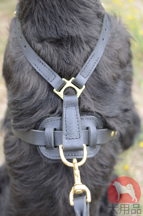 大型犬　ハーネス　海外