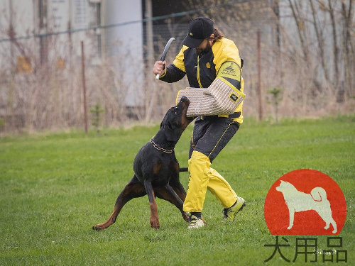 犬　訓練士服