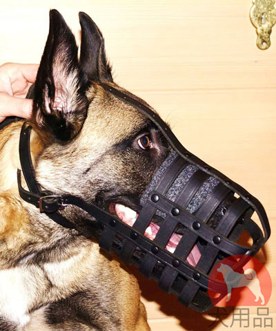 大型犬　マズルガード