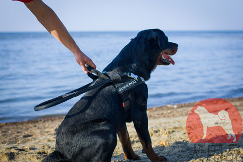 盲導犬向けのハーネス