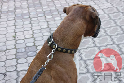 大型犬　ヌメ革首輪