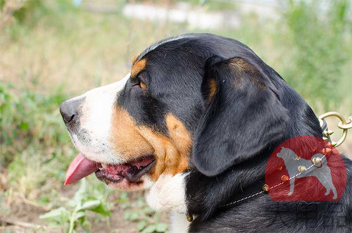 大型犬　首輪　革