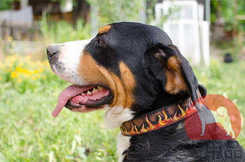 犬　首輪　デザイン